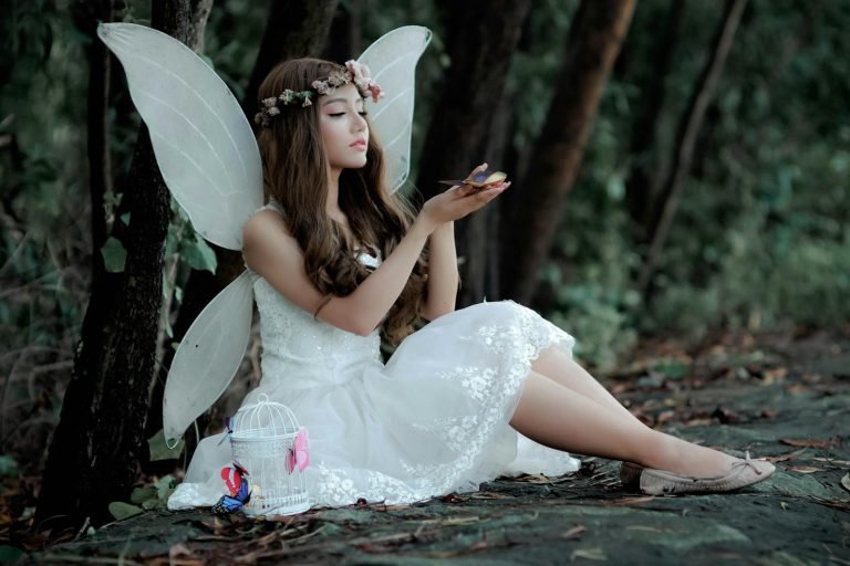 Fairies
