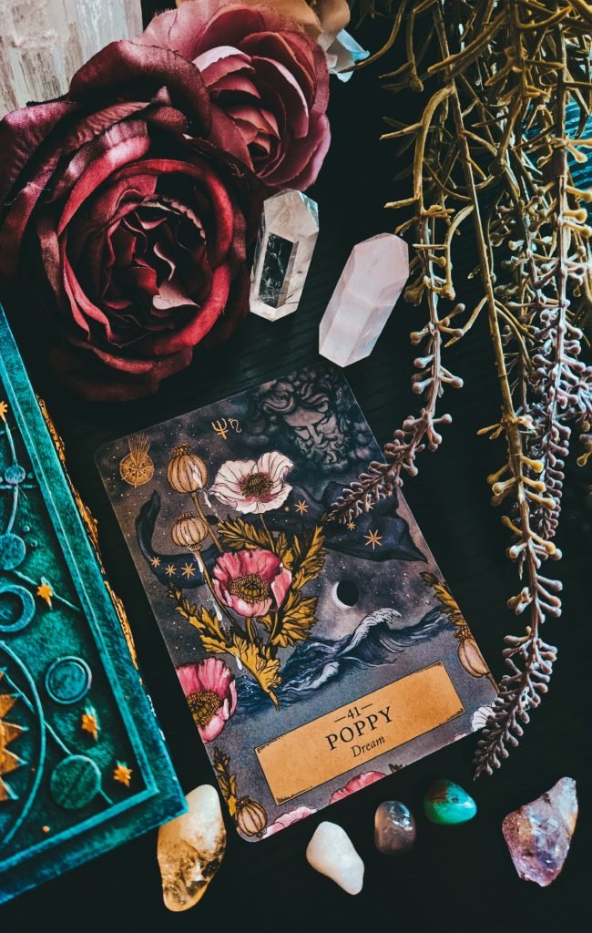 Wildwood Witchery Tarot